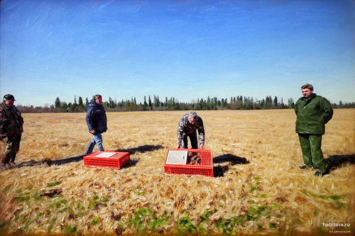 В Ленобласти втрое ускорили выдачу земли: губернатор раскрыл новый способ получения участков