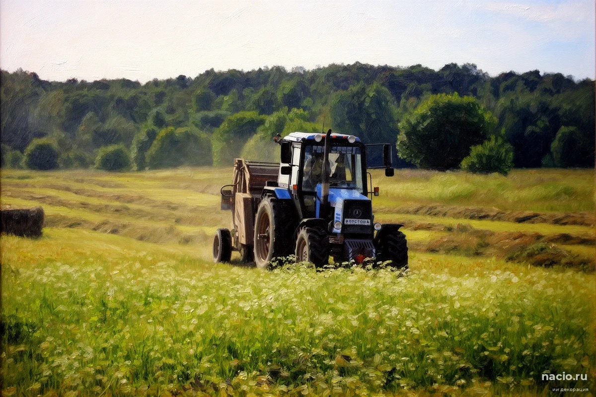 В Ленобласти ветеранам СВО выдадут по 7 миллионов: на что разрешили потратить грант