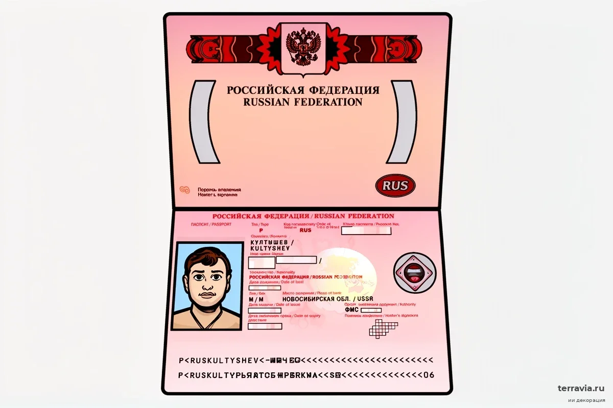 Билеты на руках, а вылет под угрозой: почему северянам массово отказывают в срочном загранпаспорте